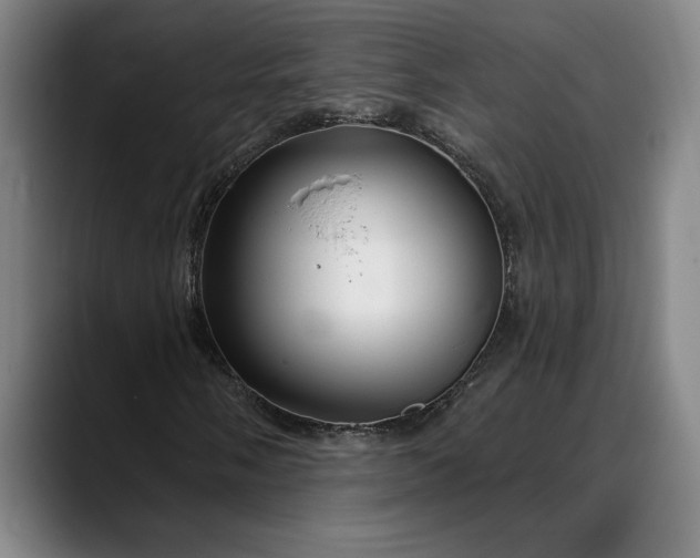 X0000088671058200706141332