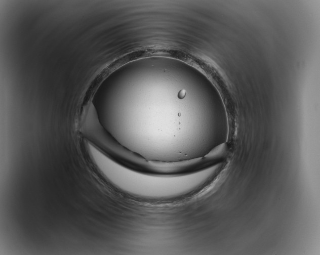 X0000088671065200706141332