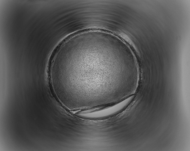 X0000088671068200706141332