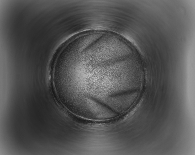 X0000088671070200706141332