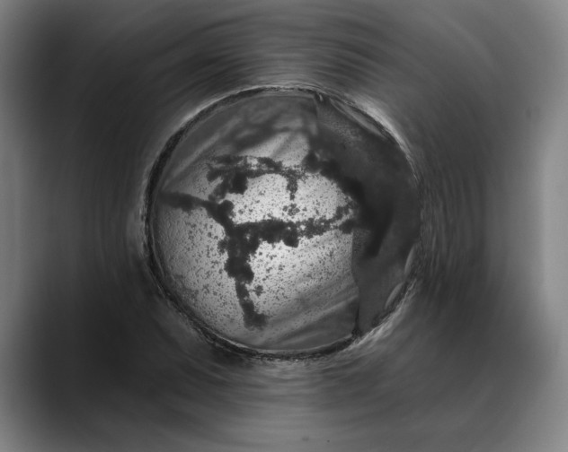 X0000088671071200706141332