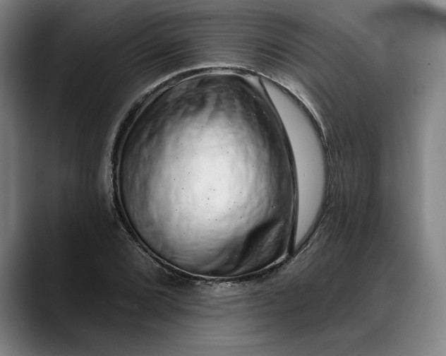 X0000088671072200706141332
