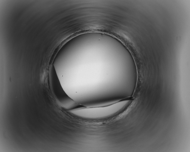 X0000088671073200706141332