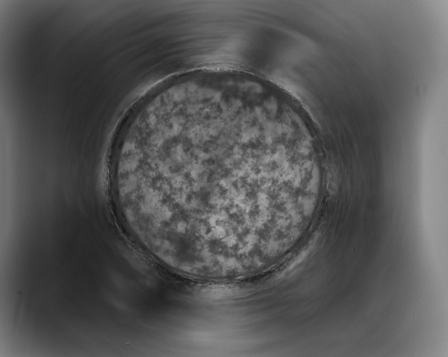 X0000088671074200706141332