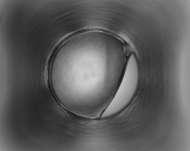 X0000088671076200706141332