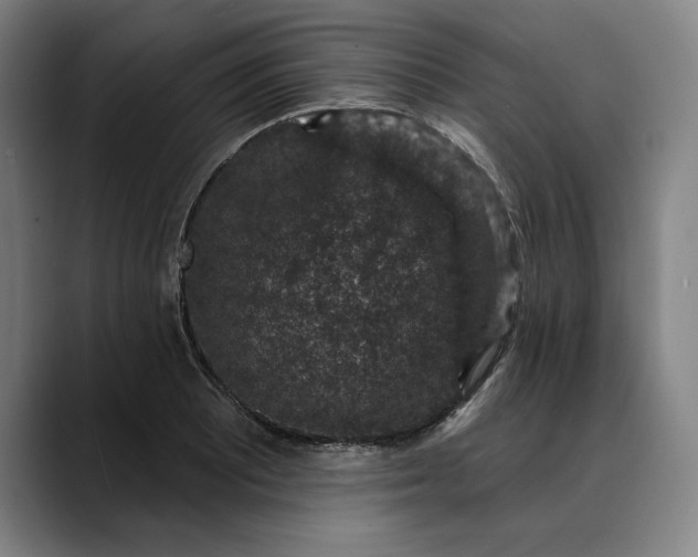 X0000088671081200706141332