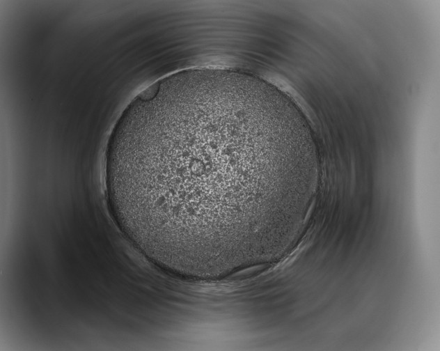 X0000088671083200706141332