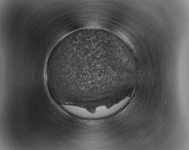 X0000088671084200706141332