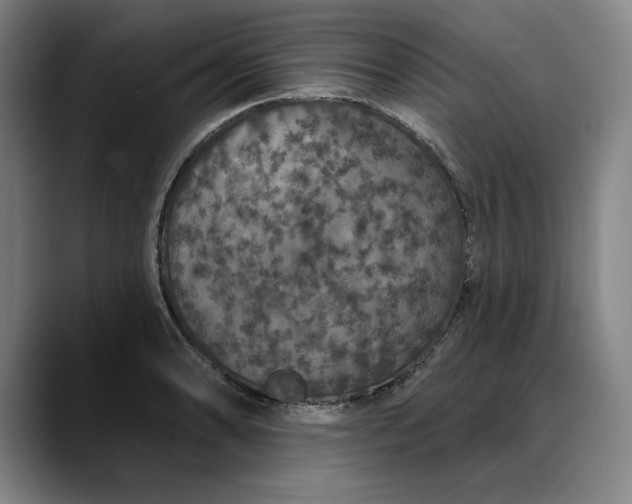 X0000088671086200706141332