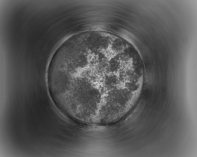 X0000088671090200706141332