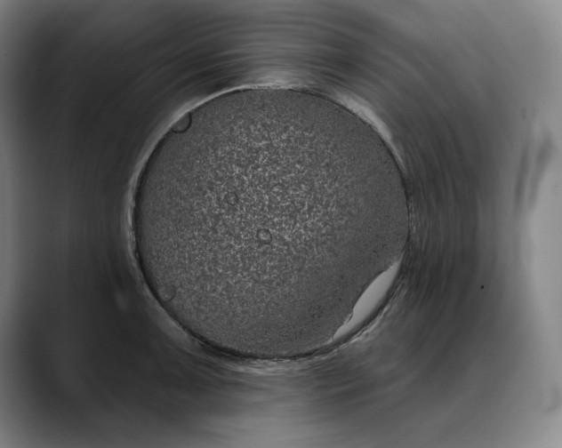 X0000088671091200706141332
