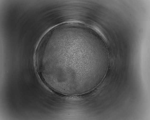 X0000088671092200706141332