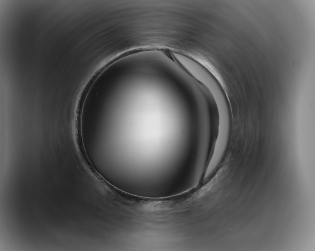 X0000088671093200706141332