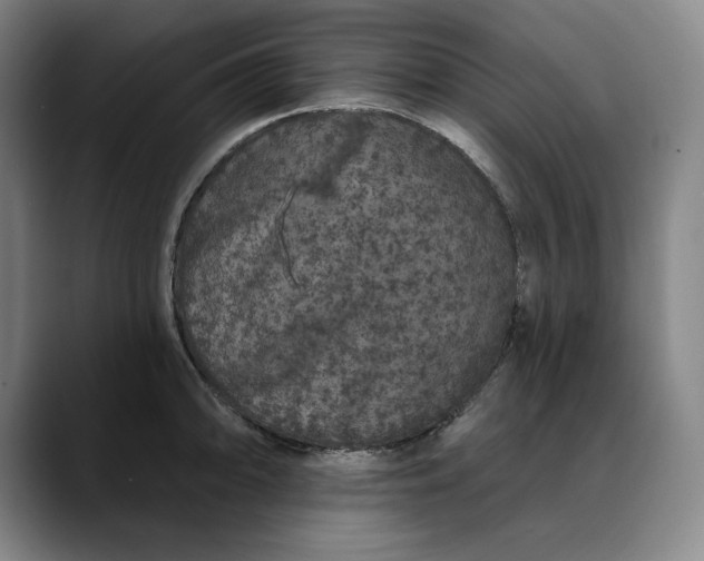 X0000088671094200706141332
