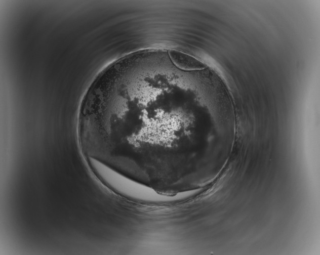 X0000088671095200706141331
