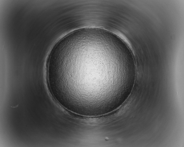 X0000088671096200706141331