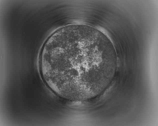 X0000088671098200706141331