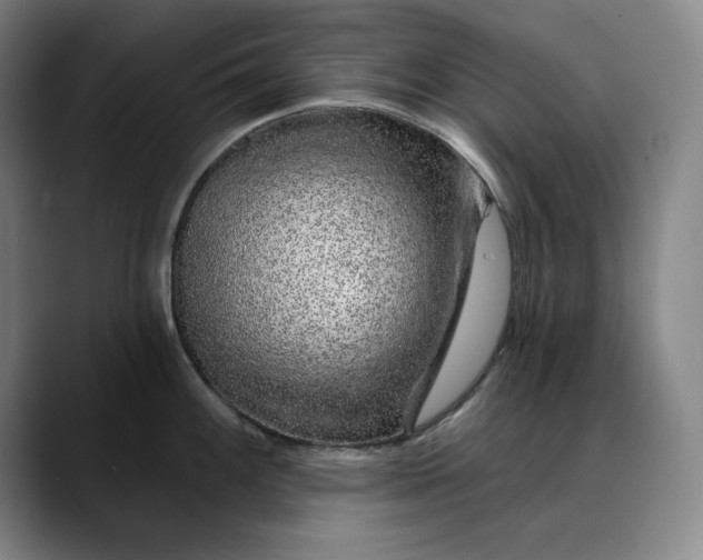 X0000088671100200706141331
