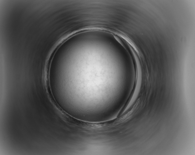 X0000088671101200706141331