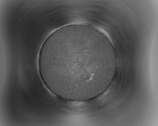 X0000088671103200706141331