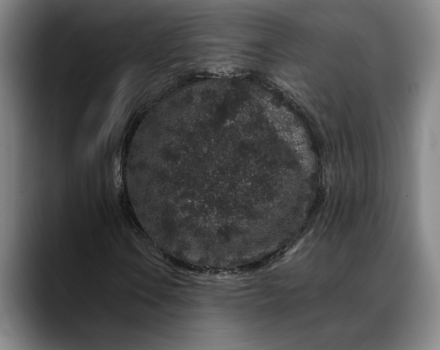 X0000088671106200706141331