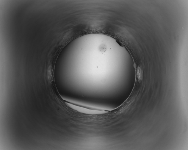 X0000088671107200706141331