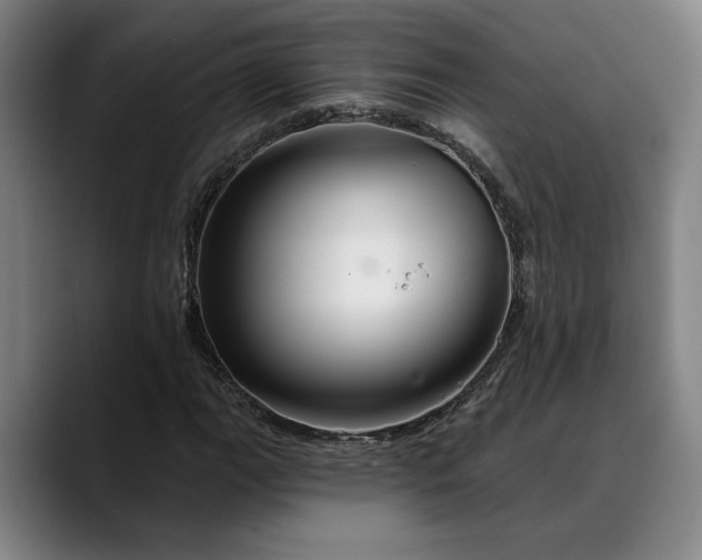 X0000088671111200706141331
