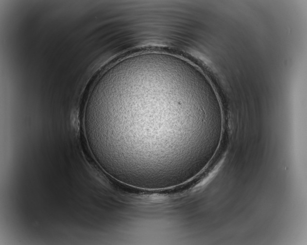 X0000088671113200706141331