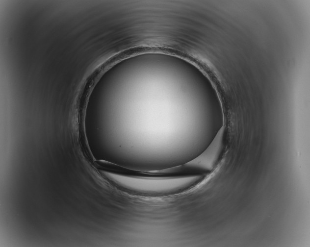X0000088671114200706141331