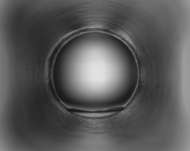 X0000088671116200706141331