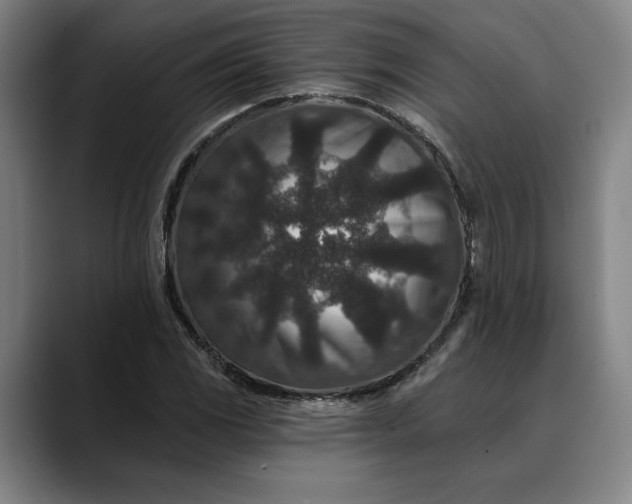 X0000088671117200706141331