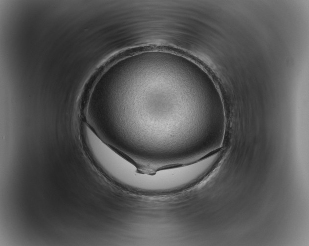 X0000088671118200706141331