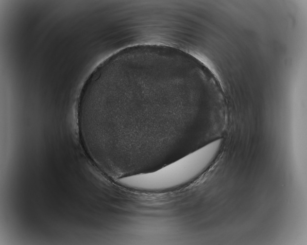 X0000088671120200706141331