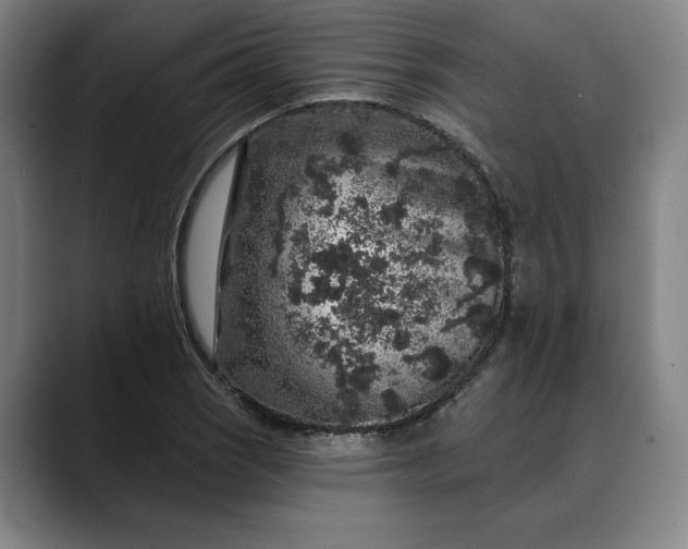 X0000088671121200706141331