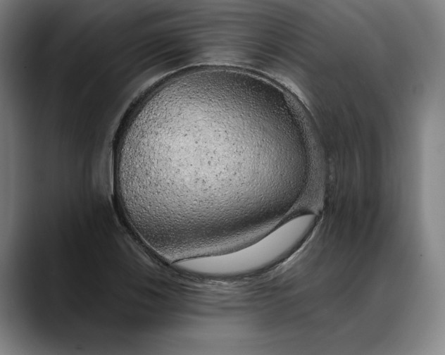 X0000088671123200706141331
