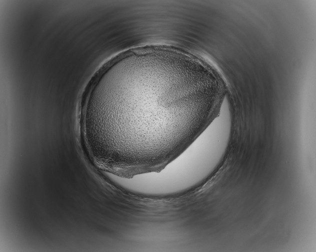 X0000088671124200706141331