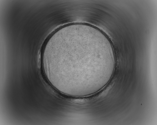X0000088671126200706141331