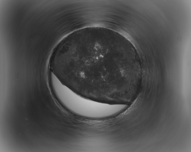 X0000088671127200706141331