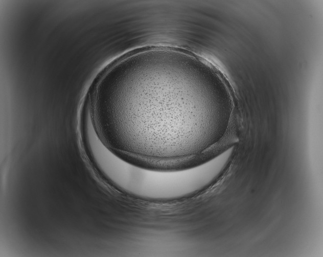 X0000088671128200706141331