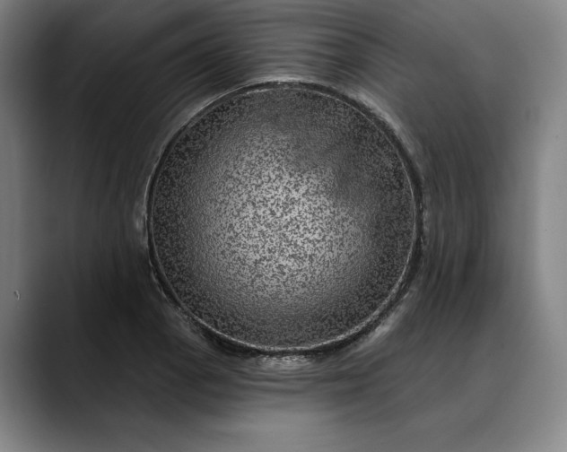 X0000088671129200706141331