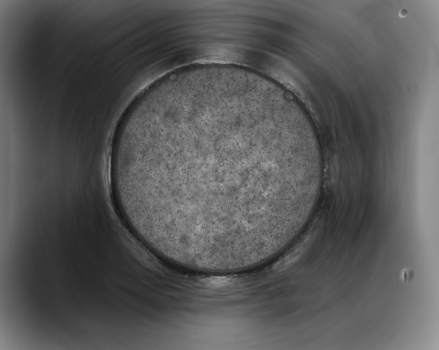 X0000088671130200706141331