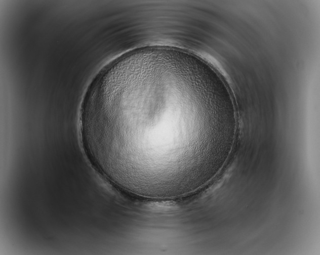 X0000088671133200706141331