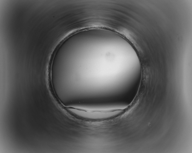 X0000088671134200706141331