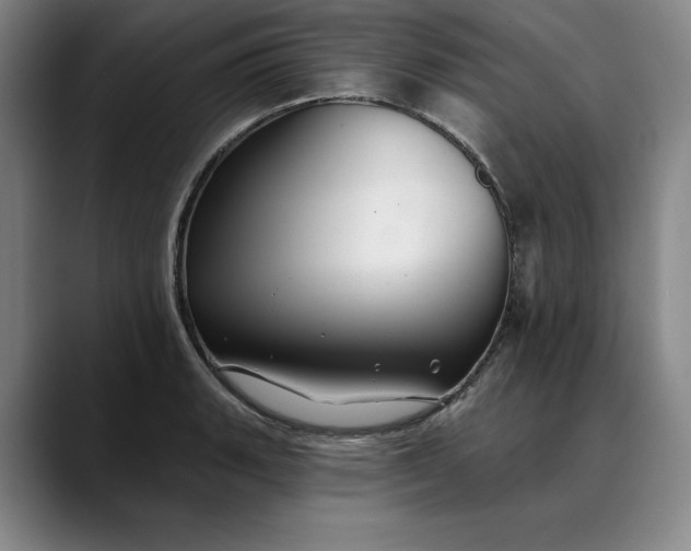 X0000088671135200706141331