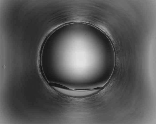 X0000088671136200706141331