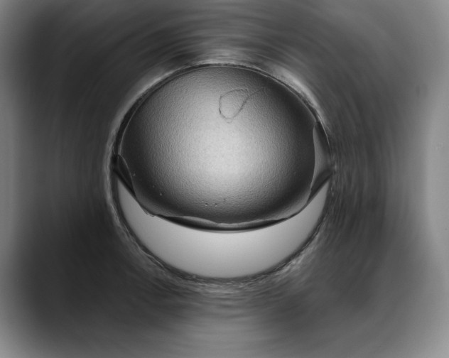 X0000088671138200706141331