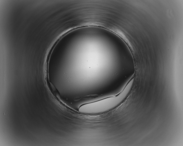 X0000088671140200706141331