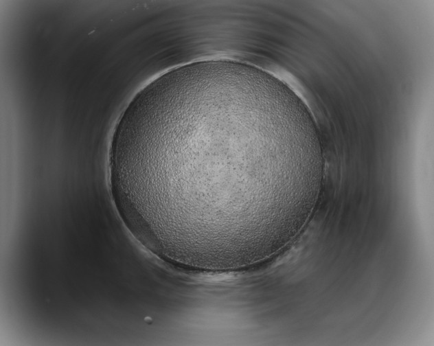 X0000088671143200706141331