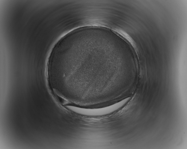 X0000088671144200706141331