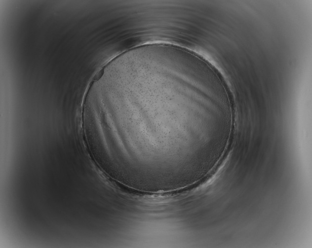 X0000088671145200706141331